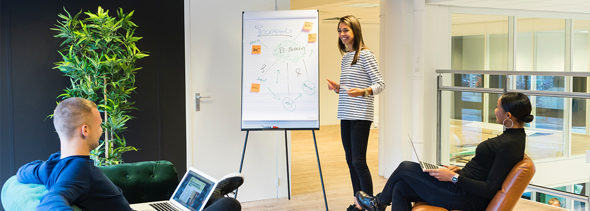 Building a Successful IT Career